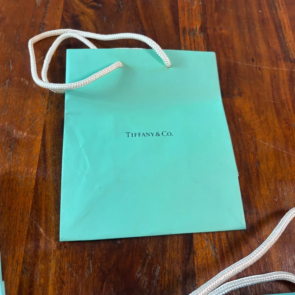 Tiffany & Co Mini Shopping Gift Bags Set of 4 Tiffany Blue Rope Handle Small
